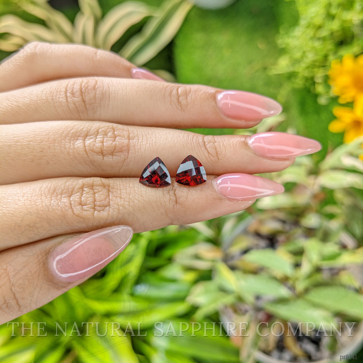4.55 Ct.Tw. Garnet Pair from Ceylon (Sri Lanka)