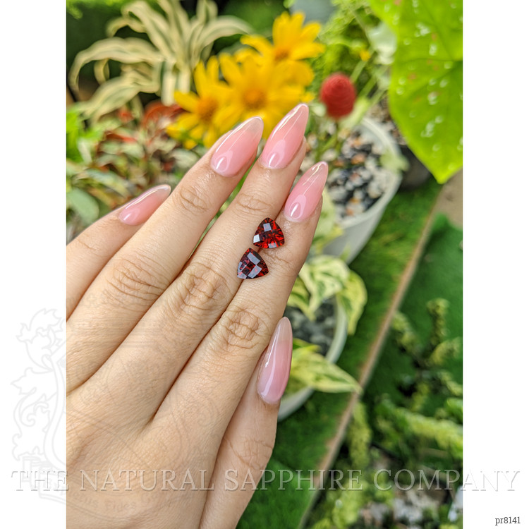 4.55 Ct.Tw. Garnet Pair from Ceylon (Sri Lanka)