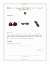 4.15 Ct.Tw.Total Carat Weight Garnet Pair from Ceylon (Sri Lanka) Appraisal