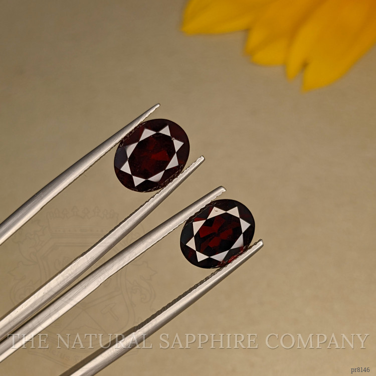 6.68 Ct.Tw. Garnet Pair from Ceylon (Sri Lanka)