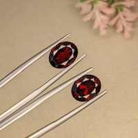 5.95&nbsp;Ct.Tw.Total Carat Weight Garnet Pair from Ceylon (Sri Lanka) Life Style