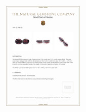 6.17 Ct.Tw.Total Carat Weight Garnet Pair from Ceylon (Sri Lanka) Appraisal