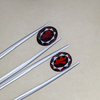 6.17&nbsp;Ct.Tw.Total Carat Weight Garnet Pair from Ceylon (Sri Lanka) Life Style