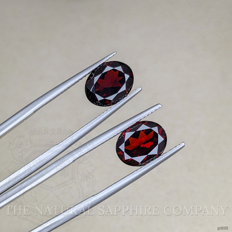 6.17 Ct.Tw. Garnet Pair from Ceylon (Sri Lanka)