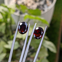 6.17&nbsp;Ct.Tw.Total Carat Weight Garnet Pair from Ceylon (Sri Lanka) Life Style