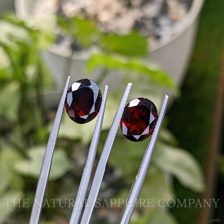 6.17 Ct.Tw. Garnet Pair from Ceylon (Sri Lanka)