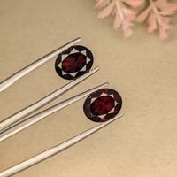 6.46&nbsp;Ct.Tw.Total Carat Weight Garnet Pair from Ceylon (Sri Lanka) Life Style