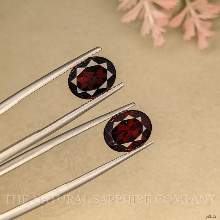 6.46 Ct.Tw. Garnet Pair from Ceylon (Sri Lanka)