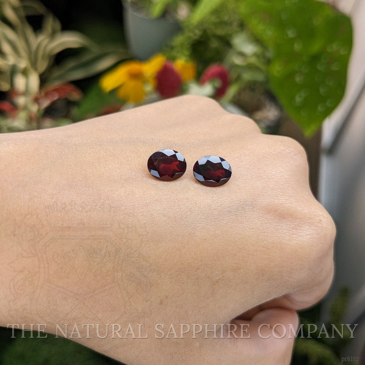 6.46 Ct.Tw. Garnet Pair from Ceylon (Sri Lanka)