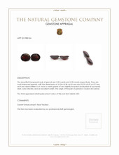 6.18 Ct.Tw.Total Carat Weight Garnet Pair from Ceylon (Sri Lanka) Appraisal