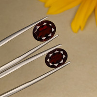 6.18&nbsp;Ct.Tw.Total Carat Weight Garnet Pair from Ceylon (Sri Lanka) Life Style