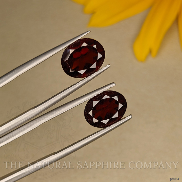 6.18 Ct.Tw. Garnet Pair from Ceylon (Sri Lanka)