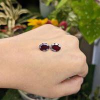 6.18&nbsp;Ct.Tw.Total Carat Weight Garnet Pair from Ceylon (Sri Lanka) Life Style