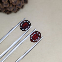 5.77&nbsp;Ct.Tw.Total Carat Weight Garnet Pair from Ceylon (Sri Lanka) Life Style