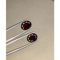 5.89&nbsp;Ct.Tw.Total Carat Weight Garnet Pair from Ceylon (Sri Lanka) Life Style