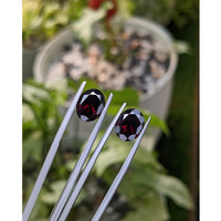 6.58&nbsp;Ct.Tw.Total Carat Weight Garnet Pair from Ceylon (Sri Lanka) Life Style