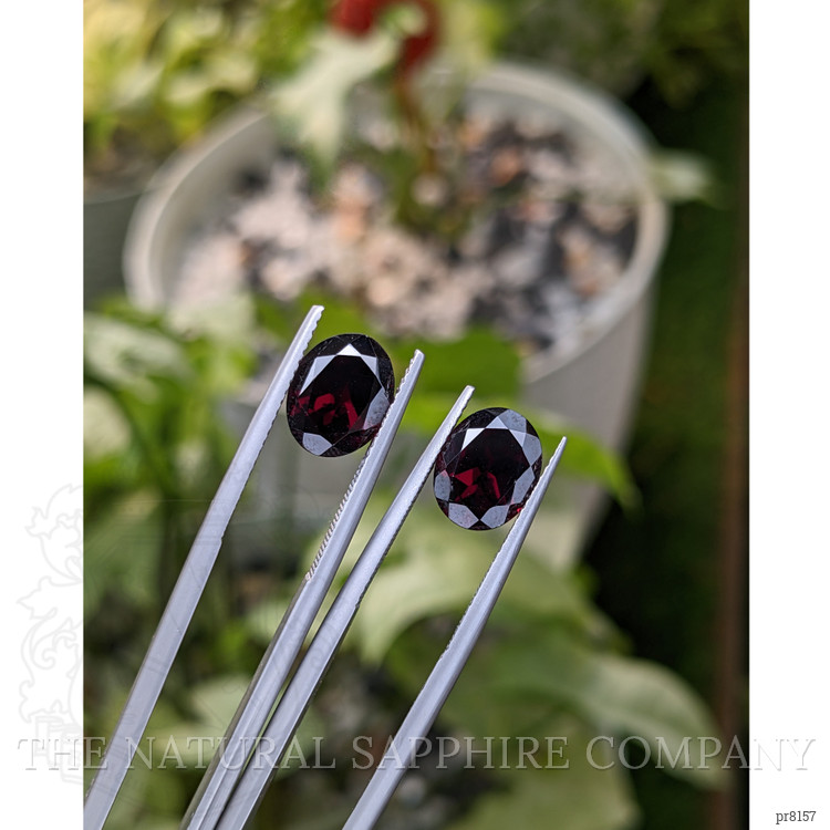 6.58 Ct.Tw. Garnet Pair from Ceylon (Sri Lanka)