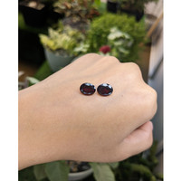 6.58&nbsp;Ct.Tw.Total Carat Weight Garnet Pair from Ceylon (Sri Lanka) Life Style