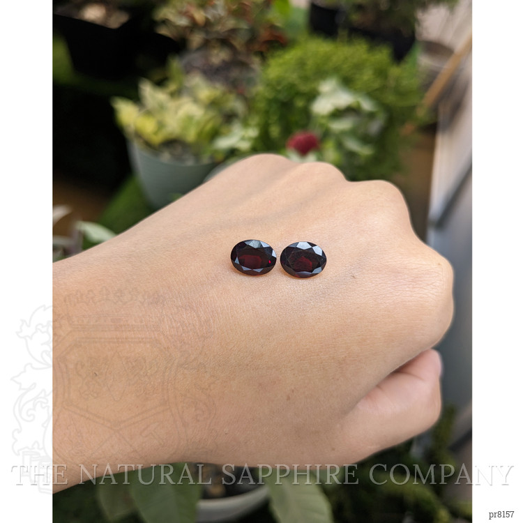 6.58 Ct.Tw. Garnet Pair from Ceylon (Sri Lanka)