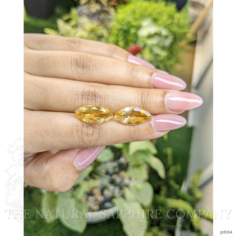 9.09 Ct.Tw. Citrine Pair from Ceylon (Sri Lanka)