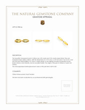 8.16 Ct.Tw.Total Carat Weight Citrine Pair from Ceylon (Sri Lanka) Appraisal