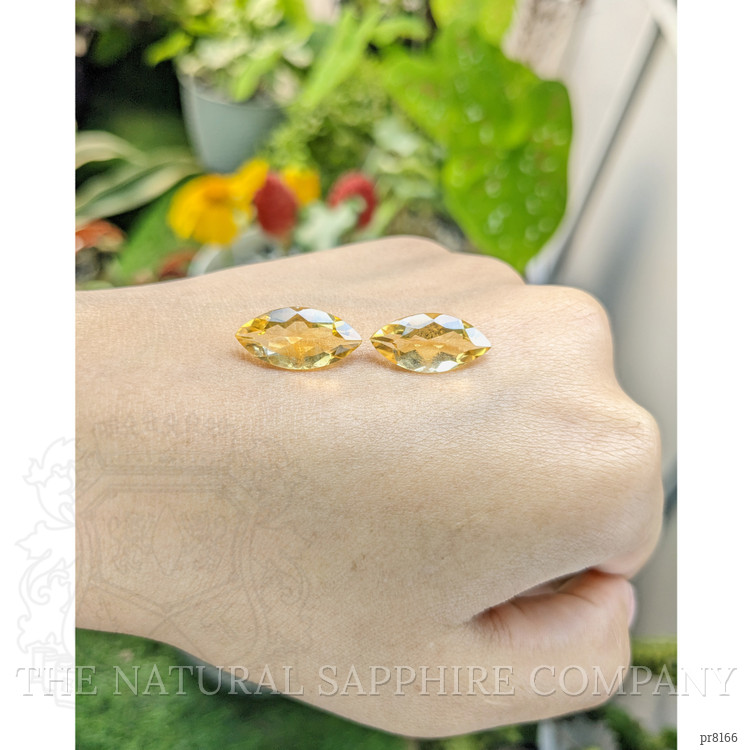 8.16 Ct.Tw. Citrine Pair from Ceylon (Sri Lanka)