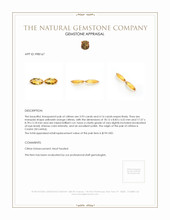 8.07&nbsp;Ct.Tw.Total Carat Weight Citrine Pair from Ceylon (Sri Lanka) Appraisal