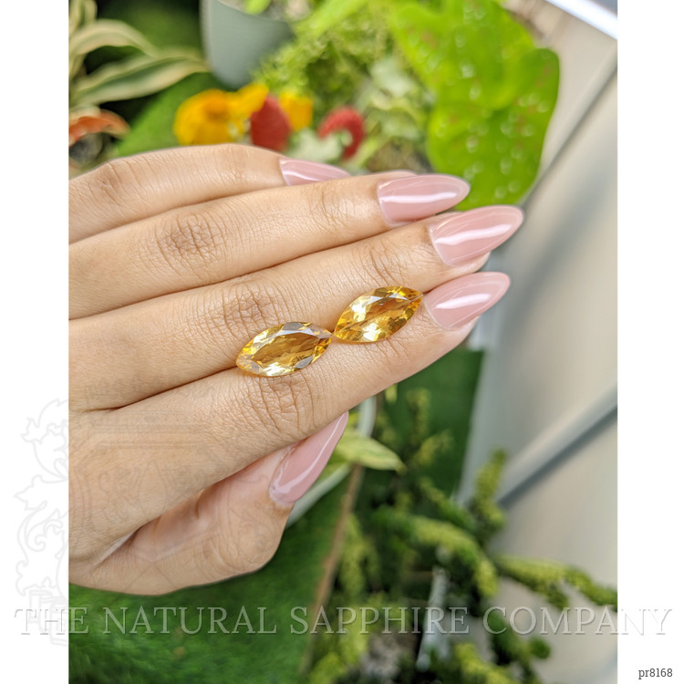 8.30 Ct.Tw. Citrine Pair from Ceylon (Sri Lanka)