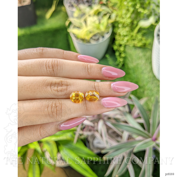 4.10 Ct.Tw. Citrine Pair from Ceylon (Sri Lanka)