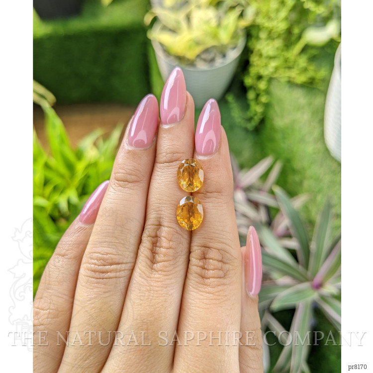4.49 Ct.Tw. Citrine Pair from Ceylon (Sri Lanka)