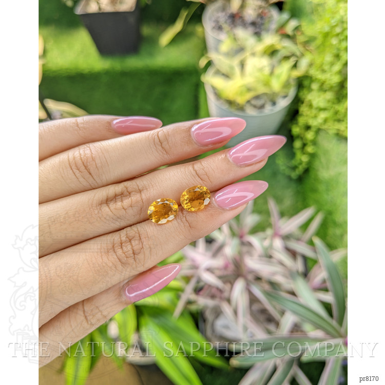 4.49 Ct.Tw. Citrine Pair from Ceylon (Sri Lanka)