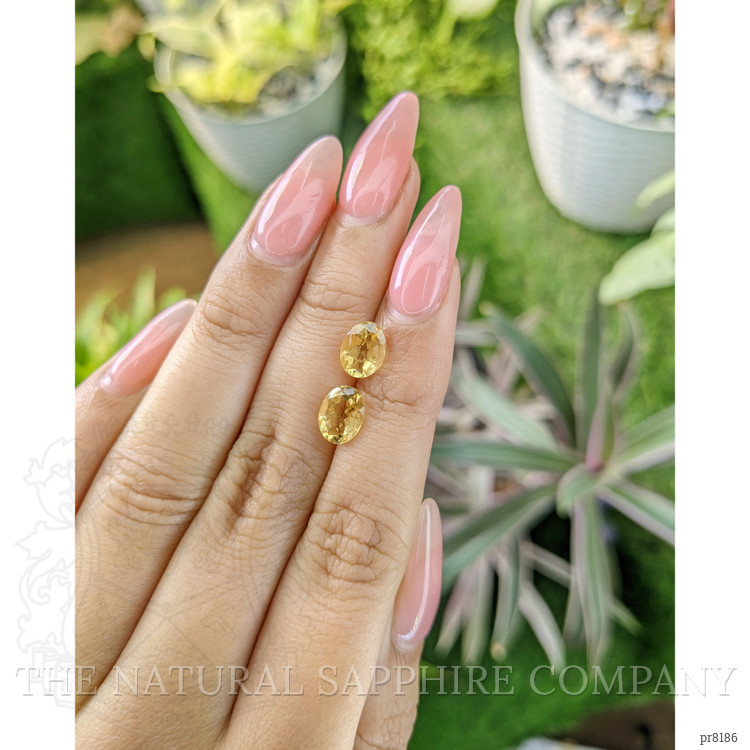 2.19 Ct.Tw. Citrine Pair from Ceylon (Sri Lanka)