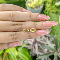 2.19&nbsp;Ct.Tw.Total Carat Weight Citrine Pair from Ceylon (Sri Lanka) Life Style