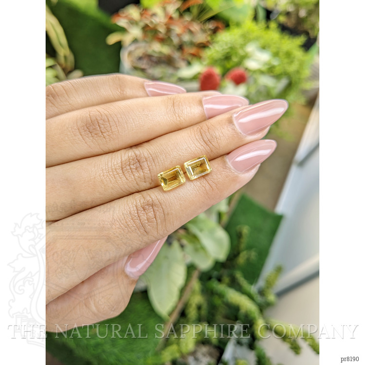 3.63 Ct.Tw. Citrine Pair from Ceylon (Sri Lanka)