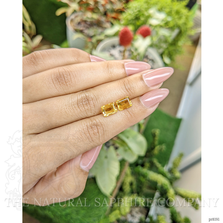 3.01 Ct.Tw. Citrine Pair from Ceylon (Sri Lanka)