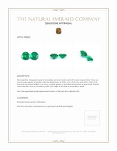 1.33 Ct.Tw.Total Carat Weight Emerald Pair from Brazil Appraisal