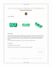 1.46 Ct.Tw.Total Carat Weight Emerald Pair from Zambia Appraisal