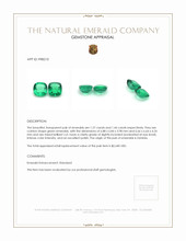 2.71 Ct.Tw.Total Carat Weight Emerald Pair from Zambia Appraisal