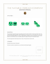 1.71 Ct.Tw.Total Carat Weight Emerald Pair from Brazil Appraisal