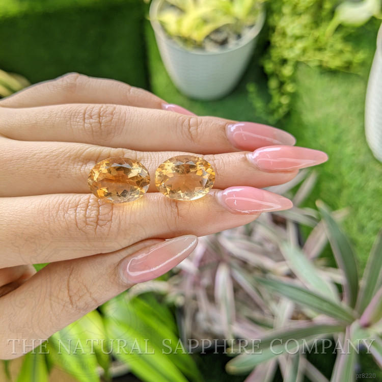 18.22 Ct.Tw. Citrine Pair from Ceylon (Sri Lanka)