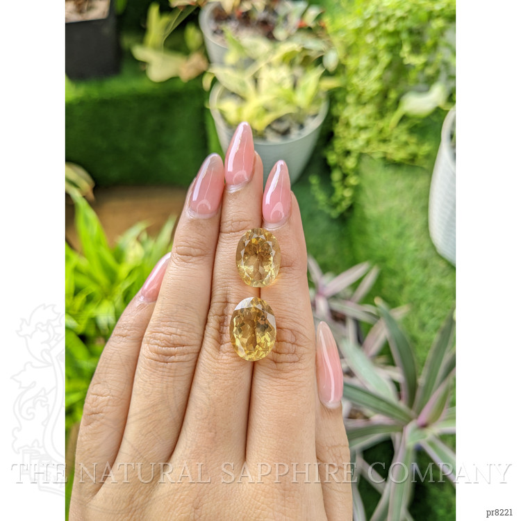 15.87 Ct.Tw. Citrine Pair from Ceylon (Sri Lanka)