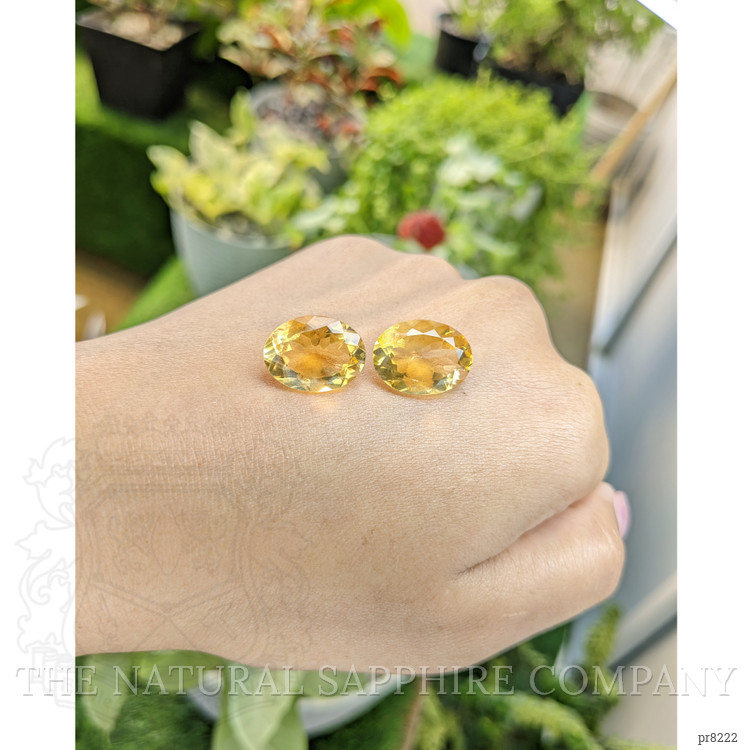 16.38 Ct.Tw. Citrine Pair from Ceylon (Sri Lanka)