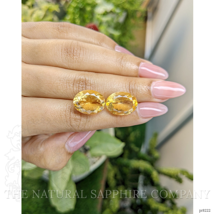 16.38 Ct.Tw. Citrine Pair from Ceylon (Sri Lanka)