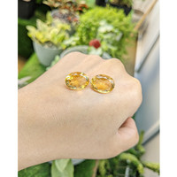15.66&nbsp;Ct.Tw.Total Carat Weight Citrine Pair from Ceylon (Sri Lanka) Life Style
