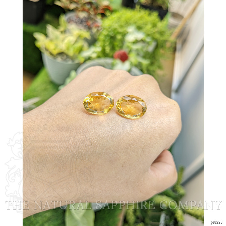 15.66 Ct.Tw. Citrine Pair from Ceylon (Sri Lanka)