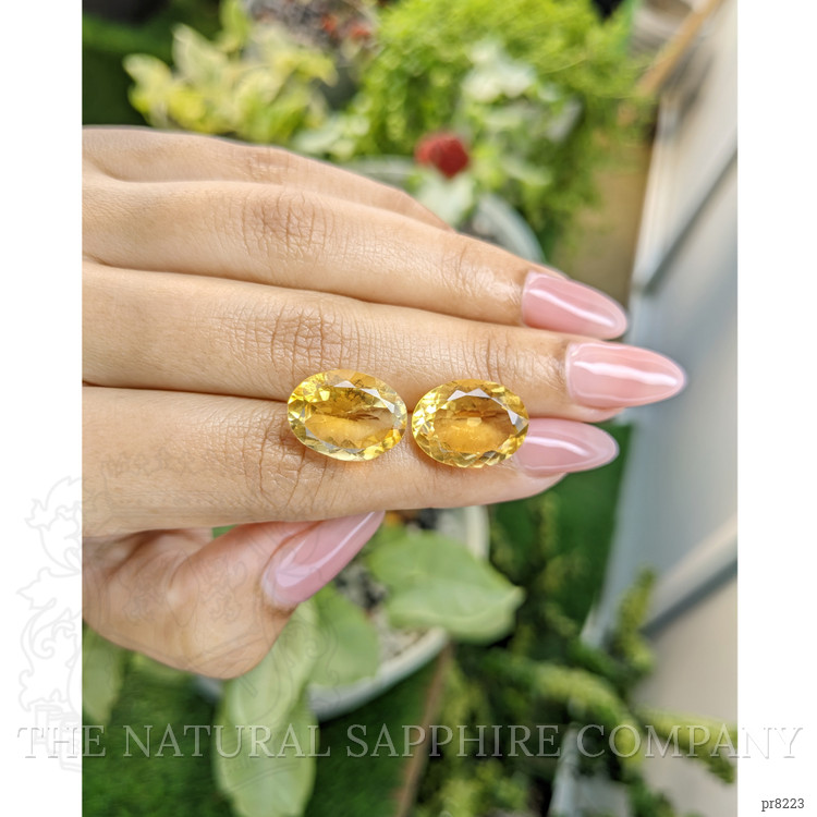 15.66 Ct.Tw. Citrine Pair from Ceylon (Sri Lanka)