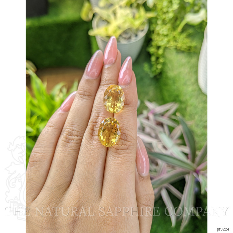 17.25 Ct.Tw. Citrine Pair from Ceylon (Sri Lanka)