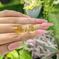 17.25&nbsp;Ct.Tw.Total Carat Weight Citrine Pair from Ceylon (Sri Lanka) Life Style