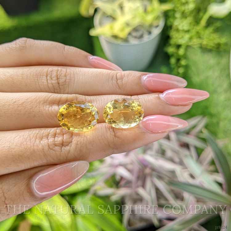 17.25 Ct.Tw. Citrine Pair from Ceylon (Sri Lanka)