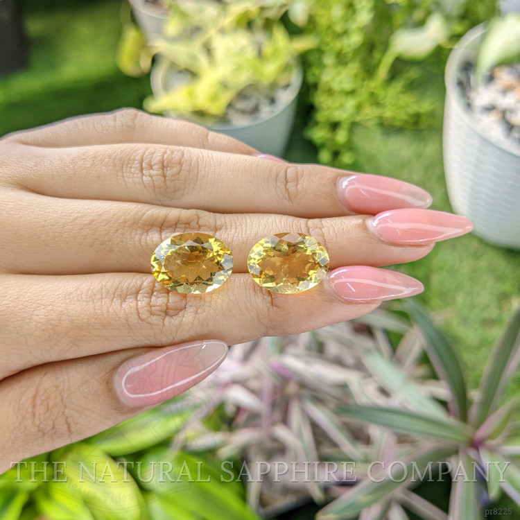 15.47 Ct.Tw. Citrine Pair from Ceylon (Sri Lanka)